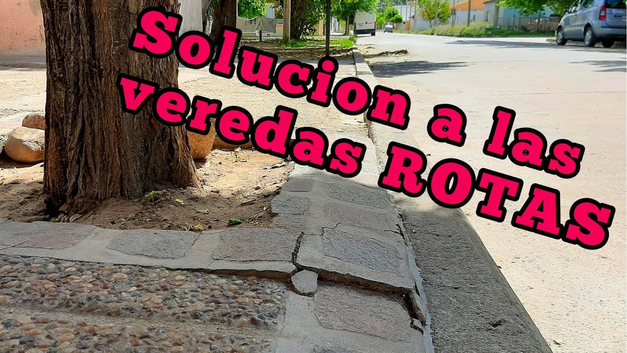Como Evitar Que Las Raices De Un Arbol Sigan Creciendo