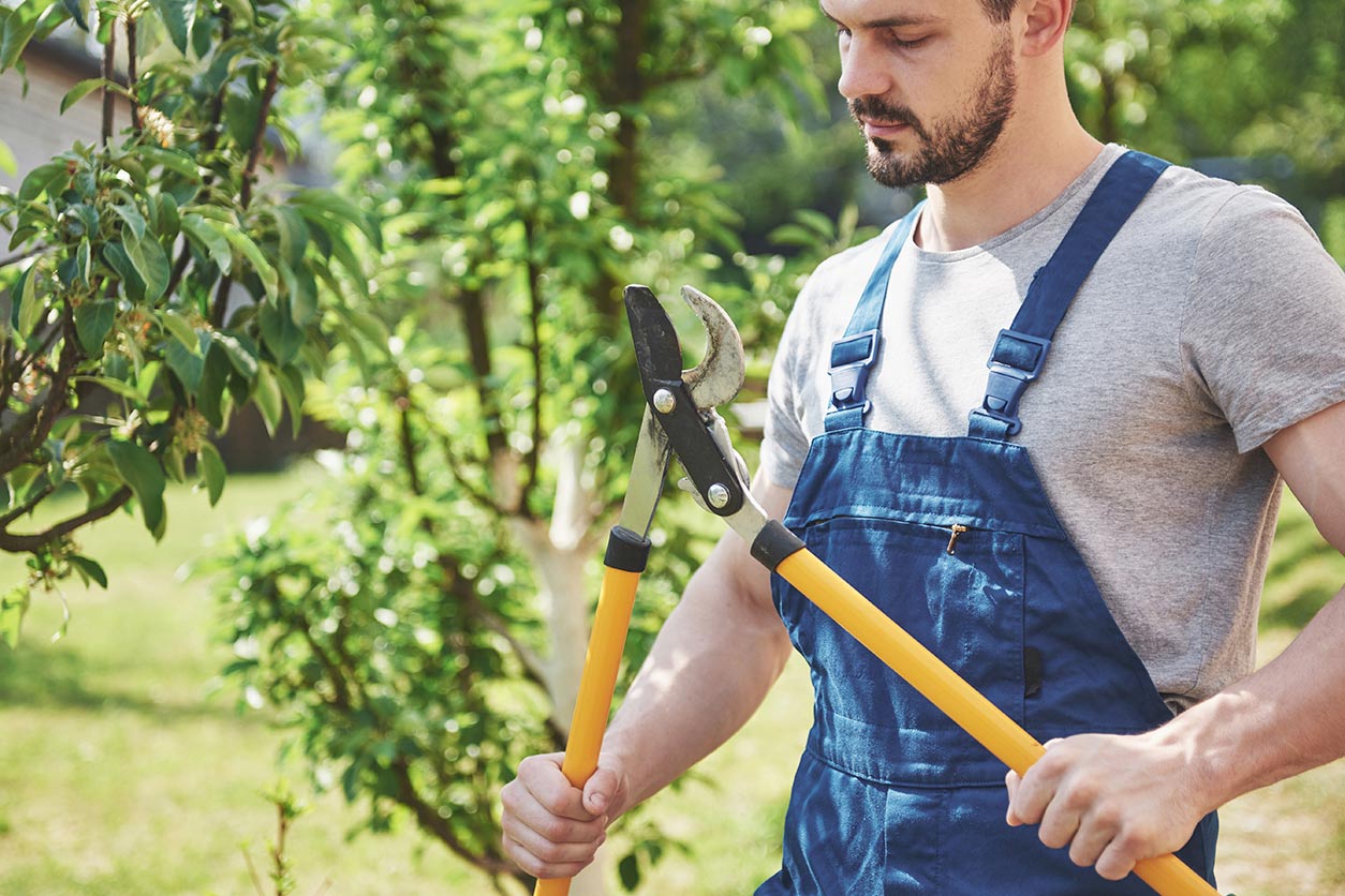 Cuanto Cobra La Hora Un Jardinero